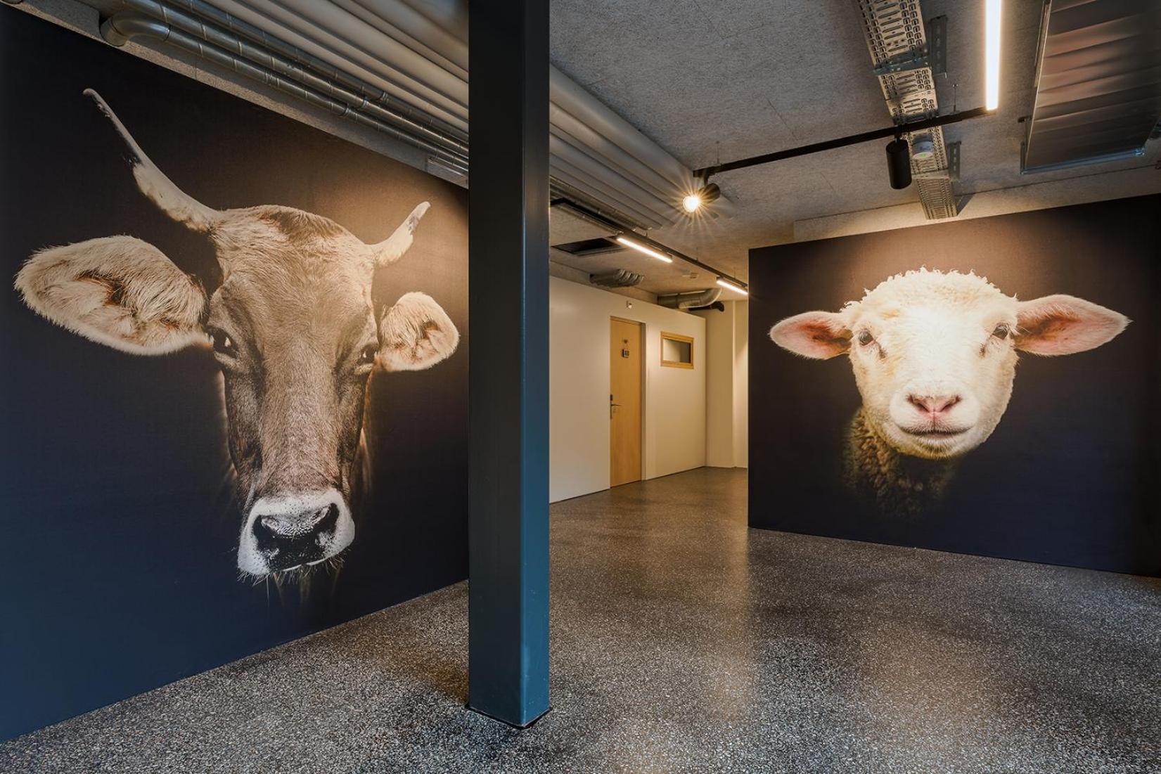Gasthaus Hof Appenzell Ngoại thất bức ảnh